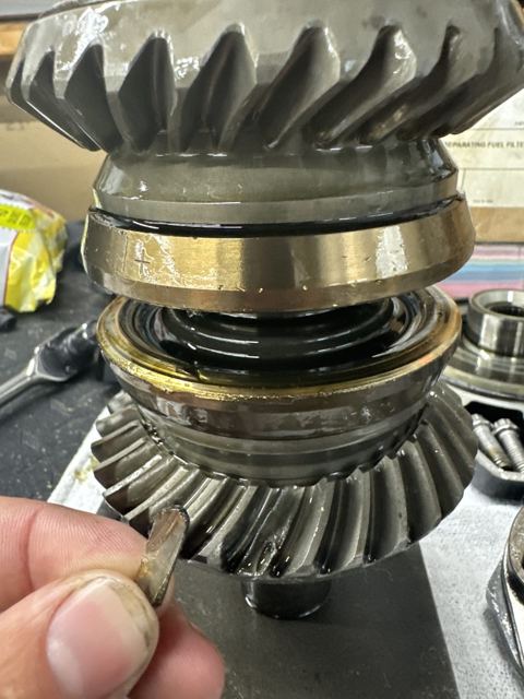 Gearcase bearing and gear set